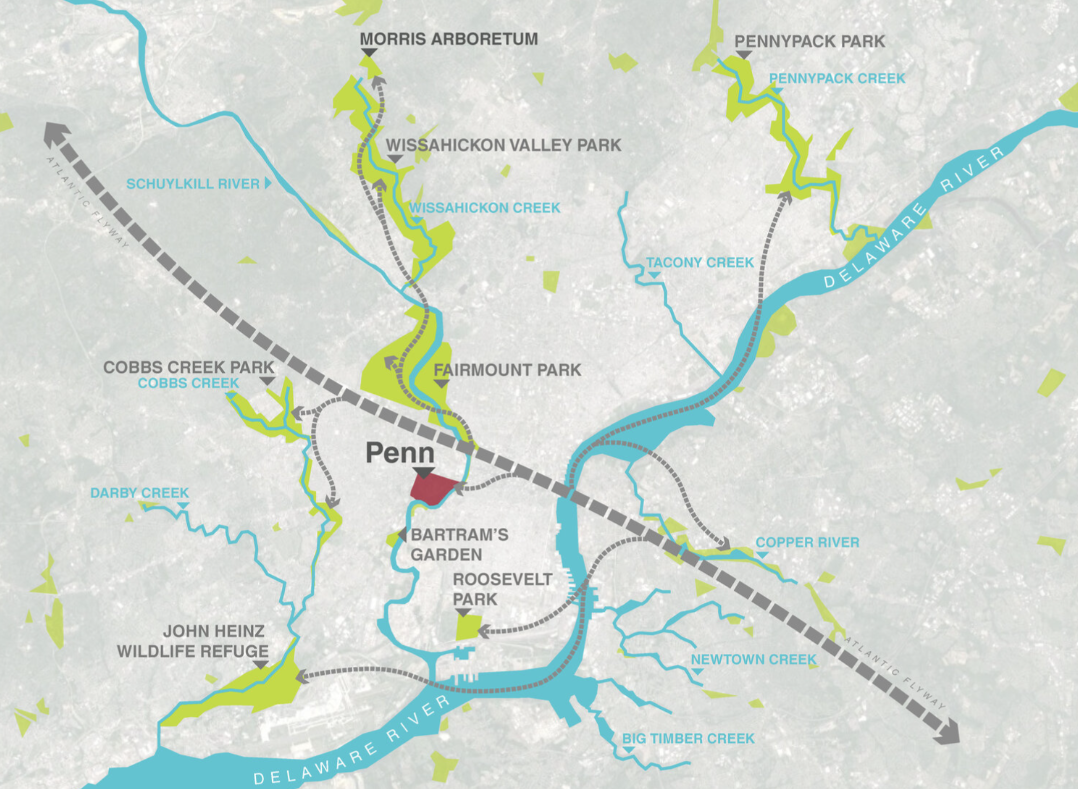 Map of Philadelphia area with markings denoting Penn's campus, the Atlantic Flyway, and other major greenspaces