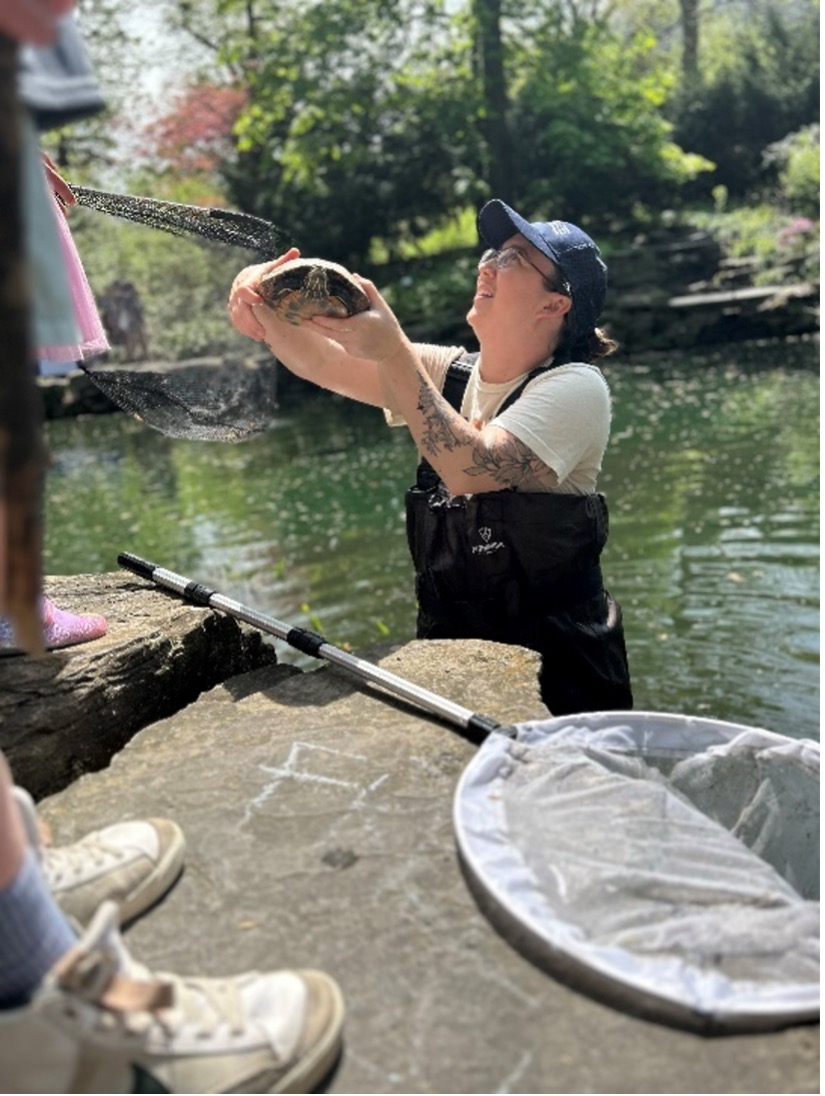 Person holding a turtle