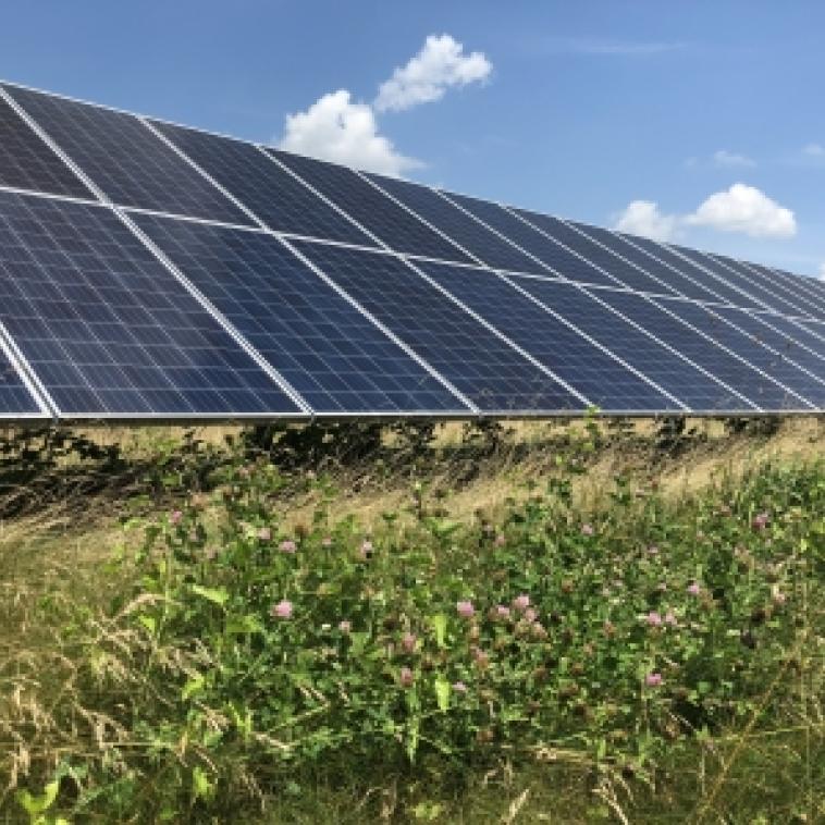 solar panels in a field