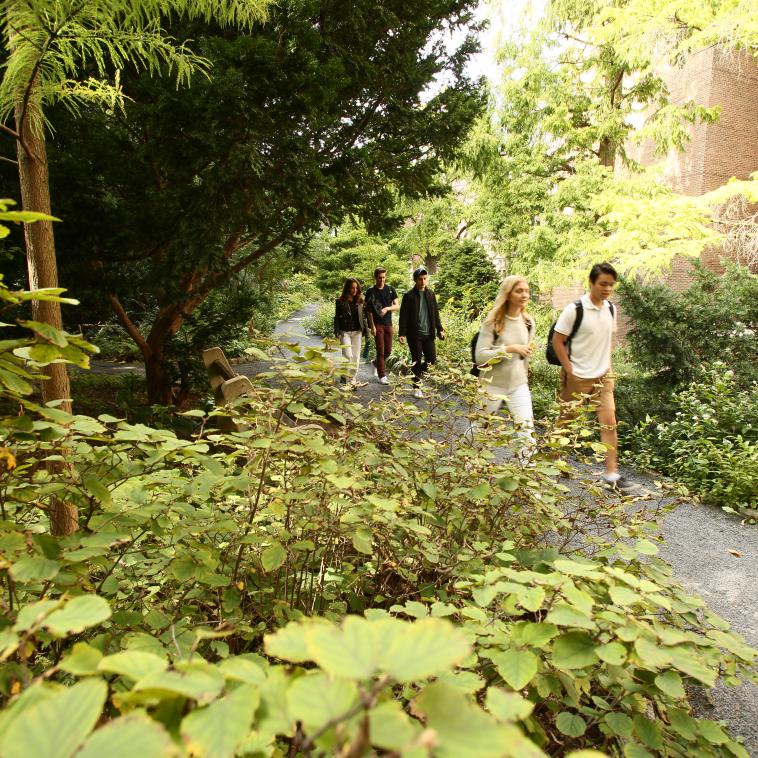 students walk down a path between a brick building and lush vegetation
