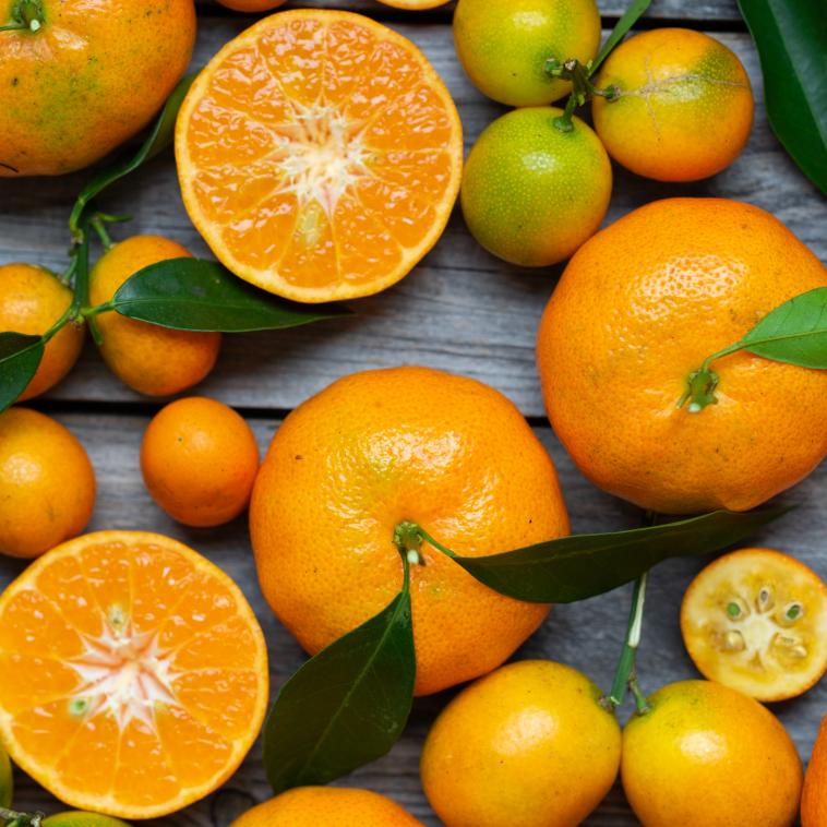 Placeholder image of oranges - to be replaced