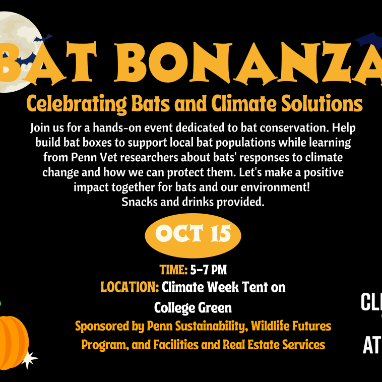 A poster for Bat Bonanza event on October 15 with a Halloween theme