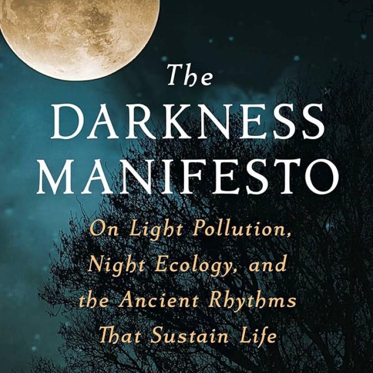 Book cover for The Darkness Manifesto by Johan Eklof