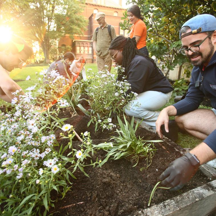 Students working in garden