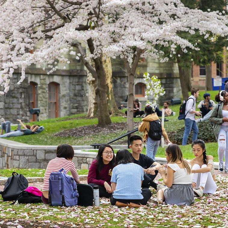 students sitting together outside