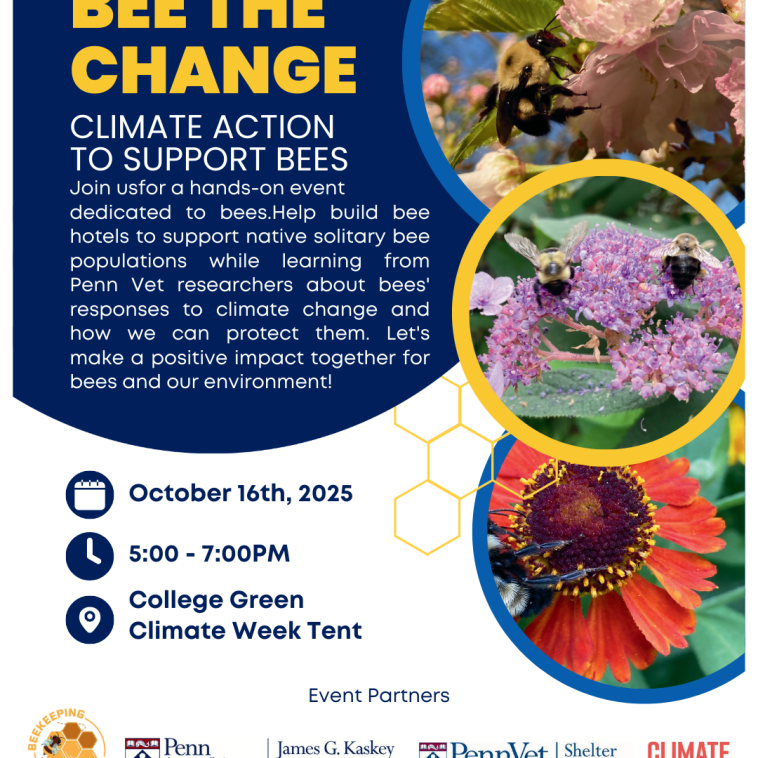 BEE the Change Event Flyer