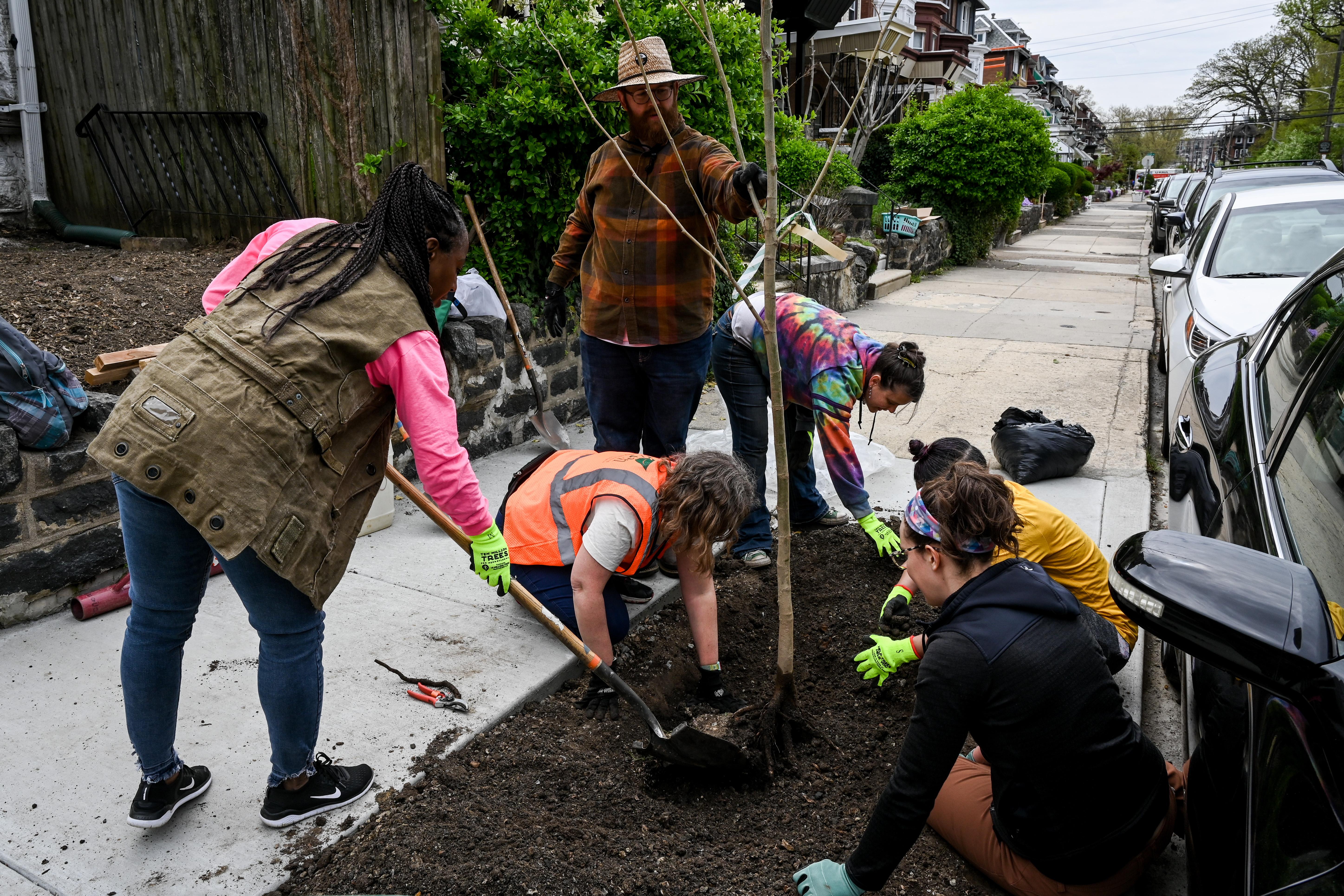 community group planting a tree in sidewalk