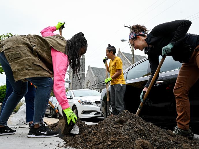 three volunteers planting a street tree