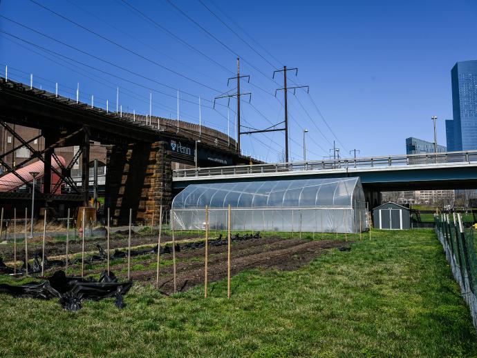 rows of a crop field are shown in front of a small greenhouse nestled between a small bridge and overpass. A sign on the overpass reads "Penn -Welcome to university city". A high rise tower is seen in the background.