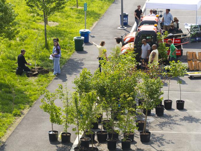 People giving away trees in a parking lot