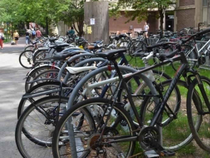 Picture of rows of bikes resting on bike racks