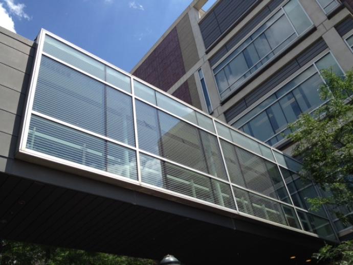 raised glass walkway