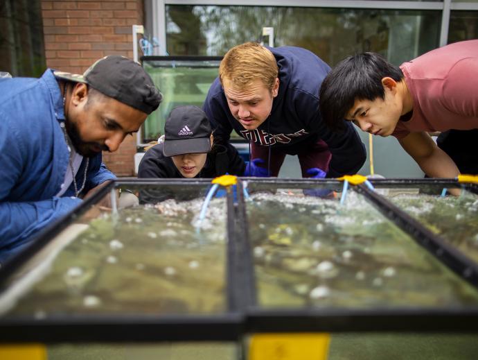 four people looking at water passing into aquarium tanks