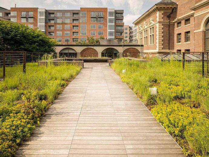 Green roof of Golkin Hall