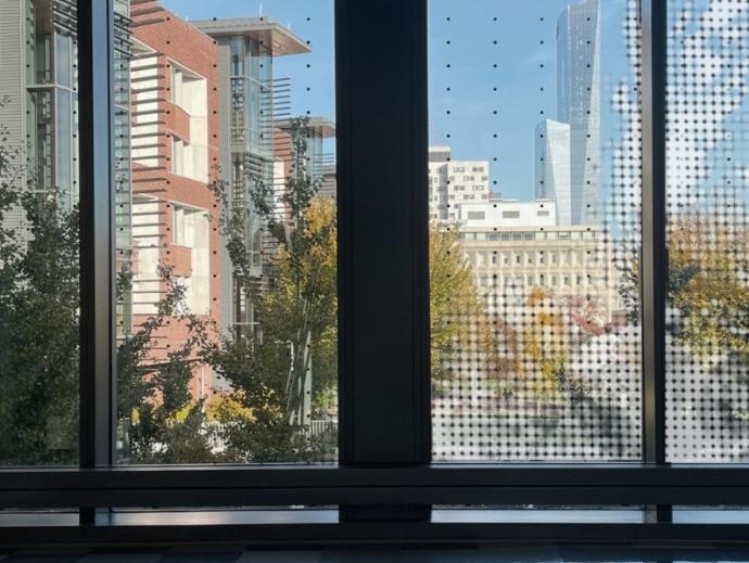 From inside, windows with mock up for exterior window film to reduce bird strikes