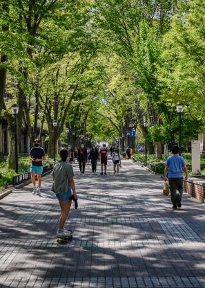 Locust walk 