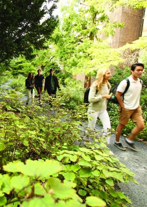 two student groups walking near biopond