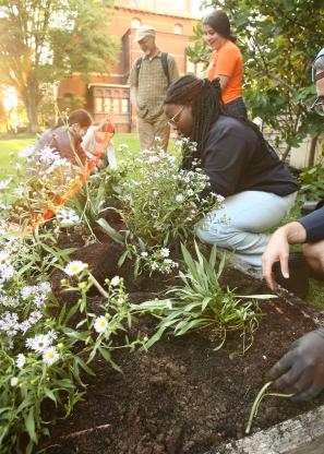 Students working in garden